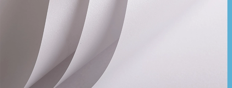 Revelado de fotos clásico